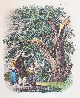 Bild Nr.3: 144-947 Thieme,M.: (Kinder- und Jugendbücher)