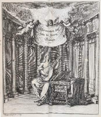 Bild Nr.3: 144-980 Grüner Samteinband: (Einband)