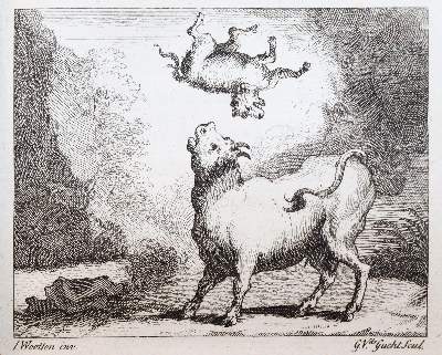 Bild Nr.4: 144-992 Gay,J.: (Fabeln)