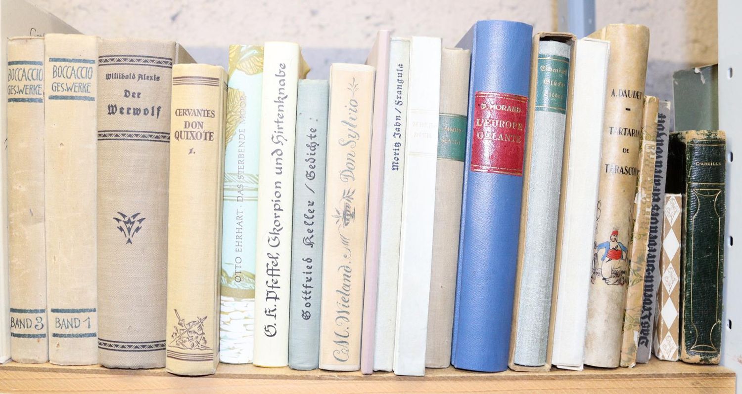 Große Abbildung Nr.5: 145-1088 Sammlung: (Literature and illustrated books 19th century)