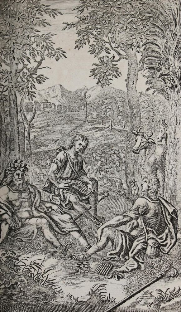Große Abbildung Nr.6: 145-1114 Vergilius,M.P.: (Literature and illustrated books 19th century)