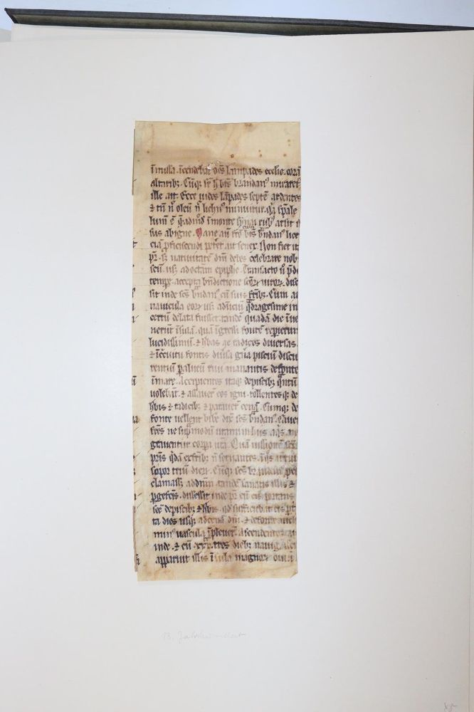 Große Abbildung Nr.1011: 145-122 Handschrift zum Buch, Von der: (Handschriften)