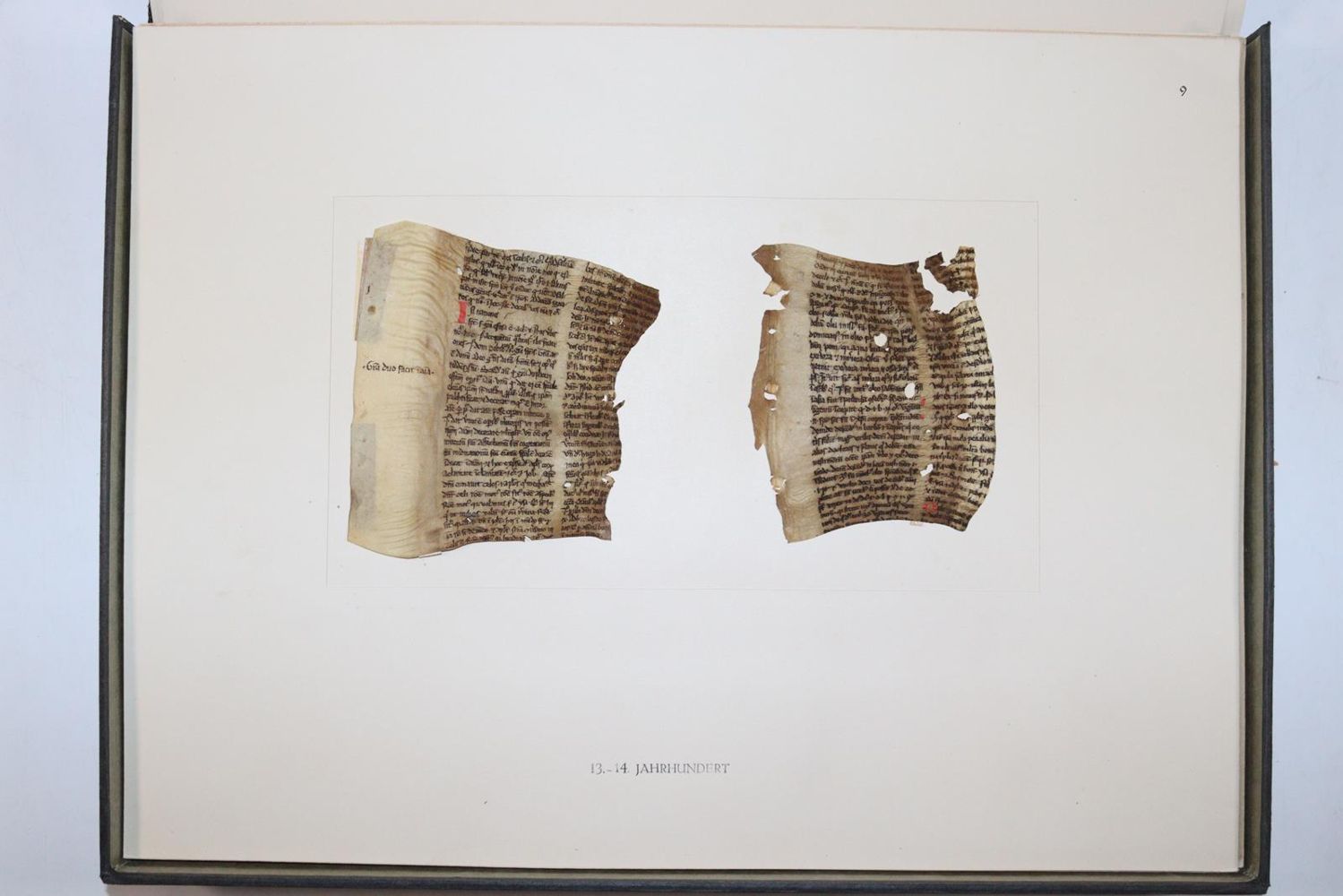 Große Abbildung Nr.1015: 145-122 Handschrift zum Buch, Von der: (Handschriften)