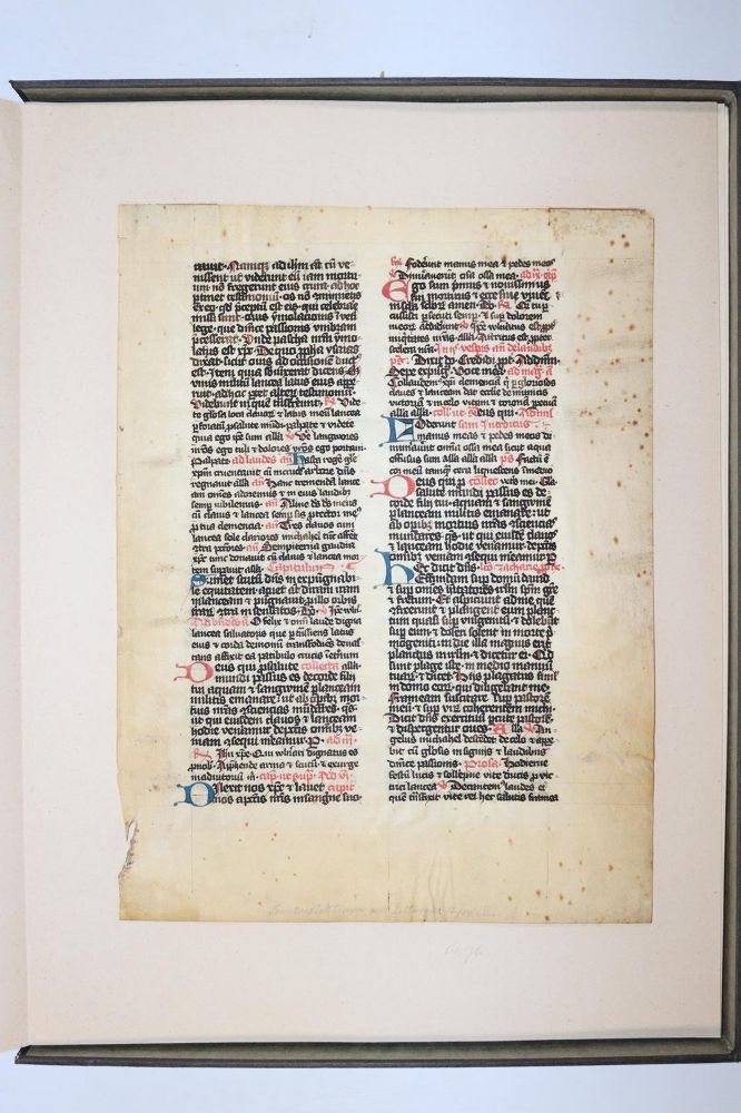 Große Abbildung Nr.1017: 145-122 Handschrift zum Buch, Von der: (Handschriften)