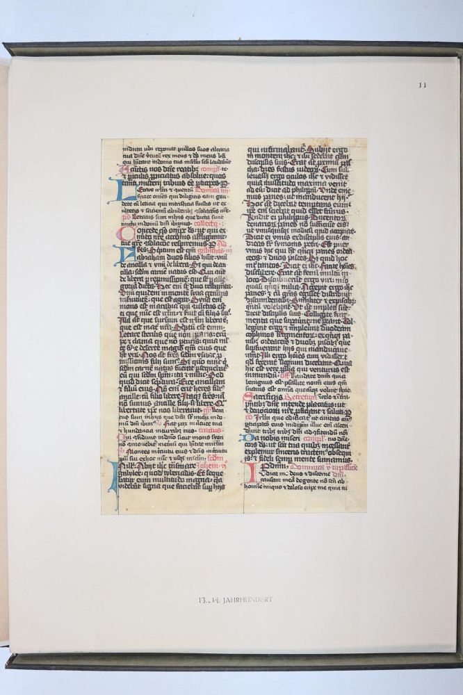 Große Abbildung Nr.1018: 145-122 Handschrift zum Buch, Von der: (Handschriften)