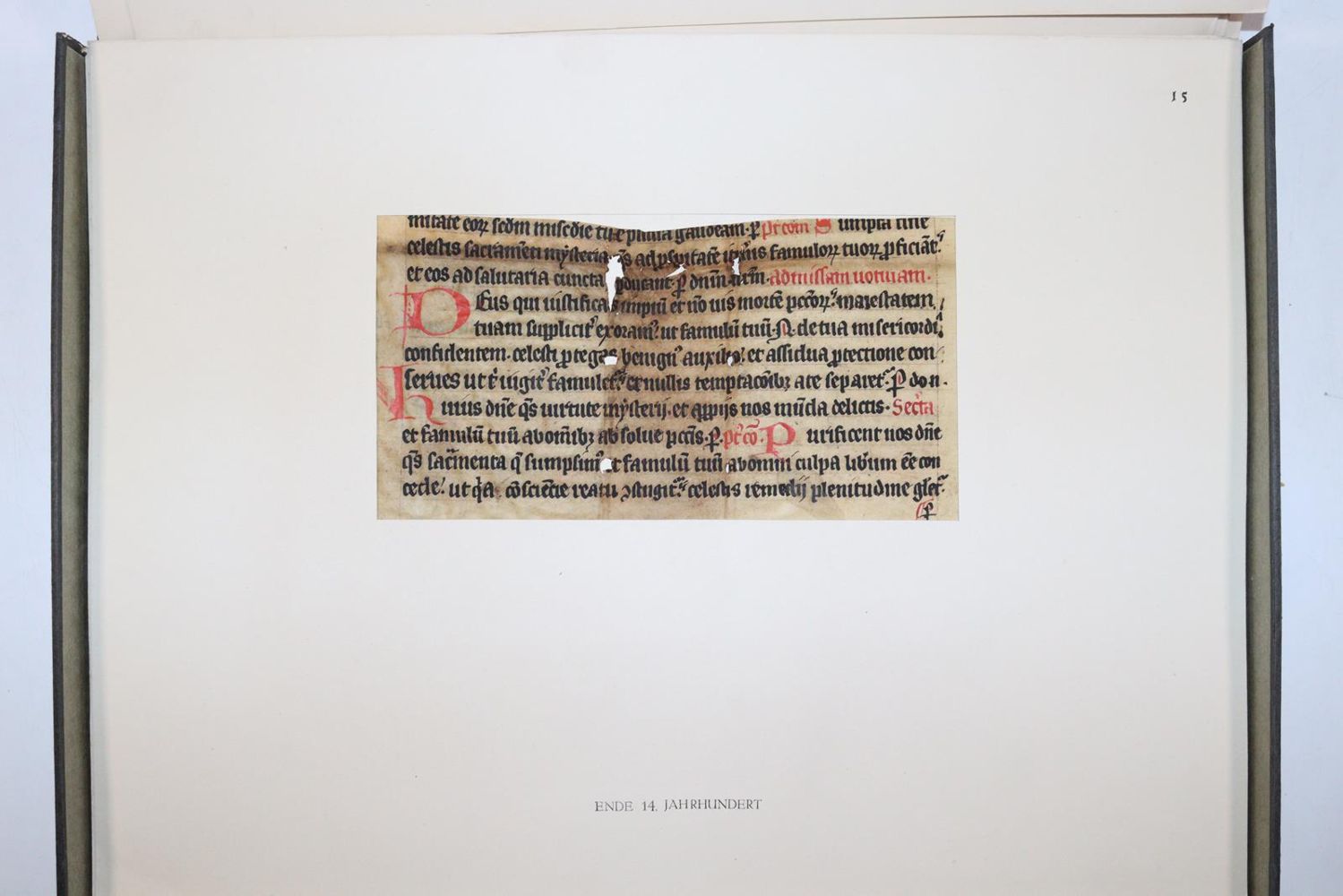 Große Abbildung Nr.1023: 145-122 Handschrift zum Buch, Von der: (Handschriften)