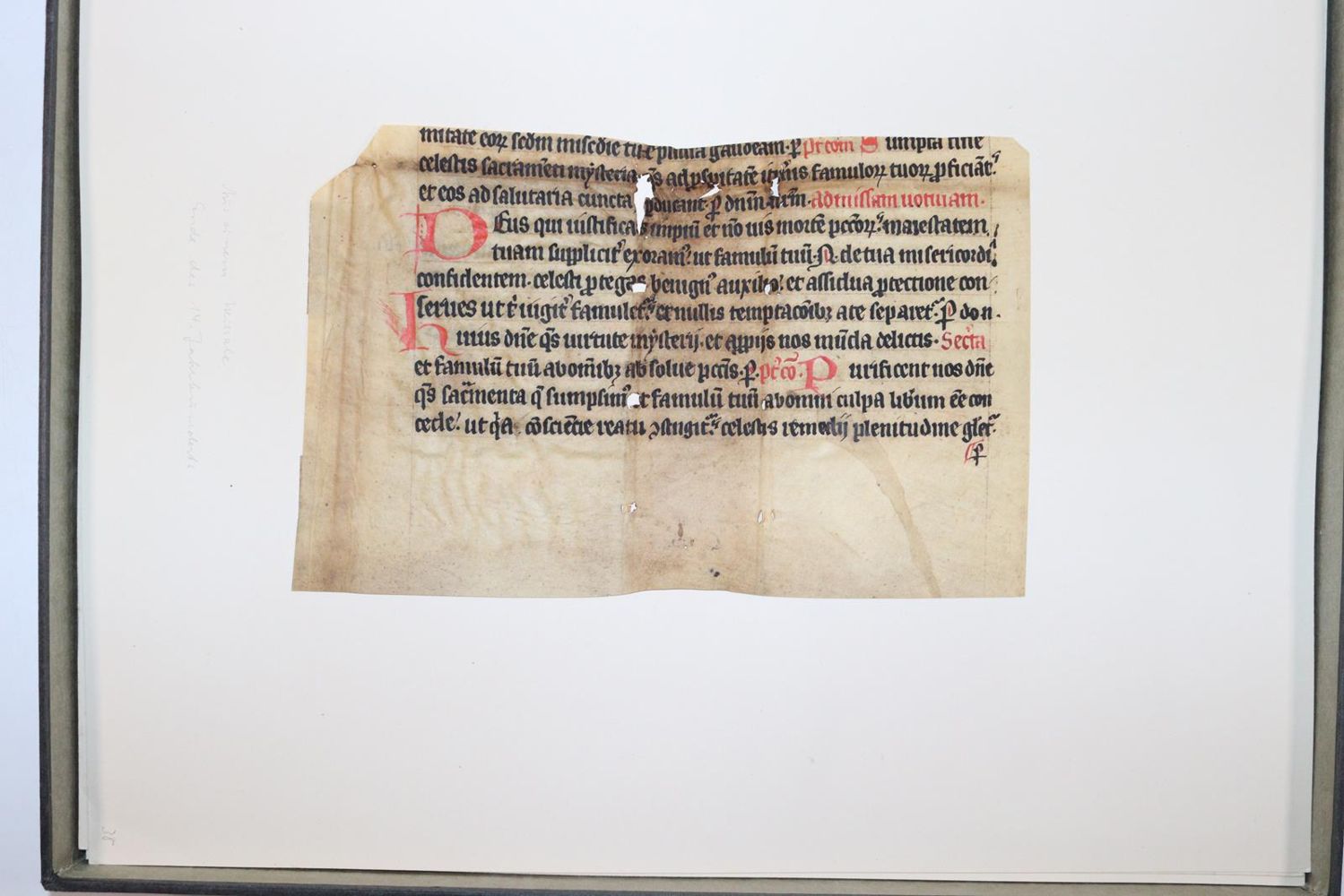 Große Abbildung Nr.1024: 145-122 Handschrift zum Buch, Von der: (Handschriften)
