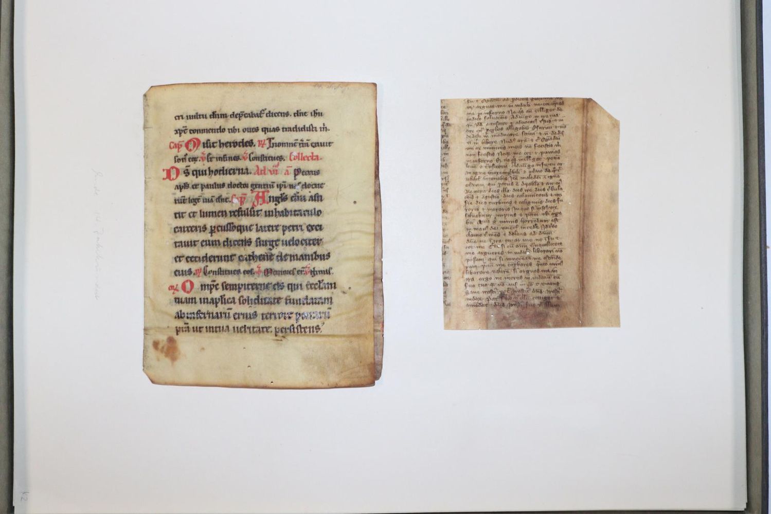 Große Abbildung Nr.1031: 145-122 Handschrift zum Buch, Von der: (Handschriften)