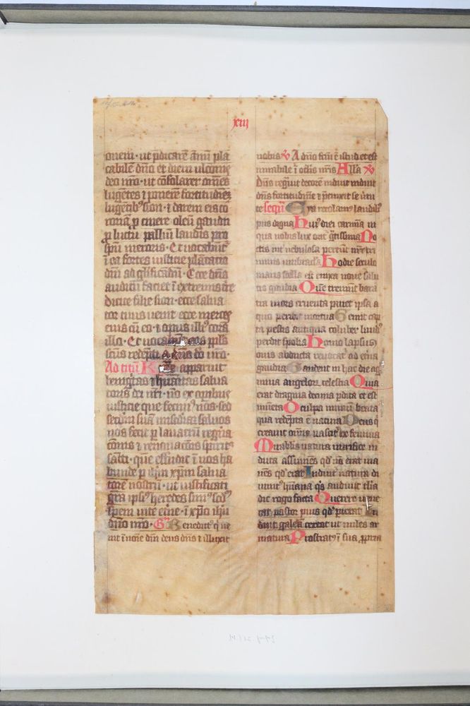 Große Abbildung Nr.1034: 145-122 Handschrift zum Buch, Von der: (Handschriften)