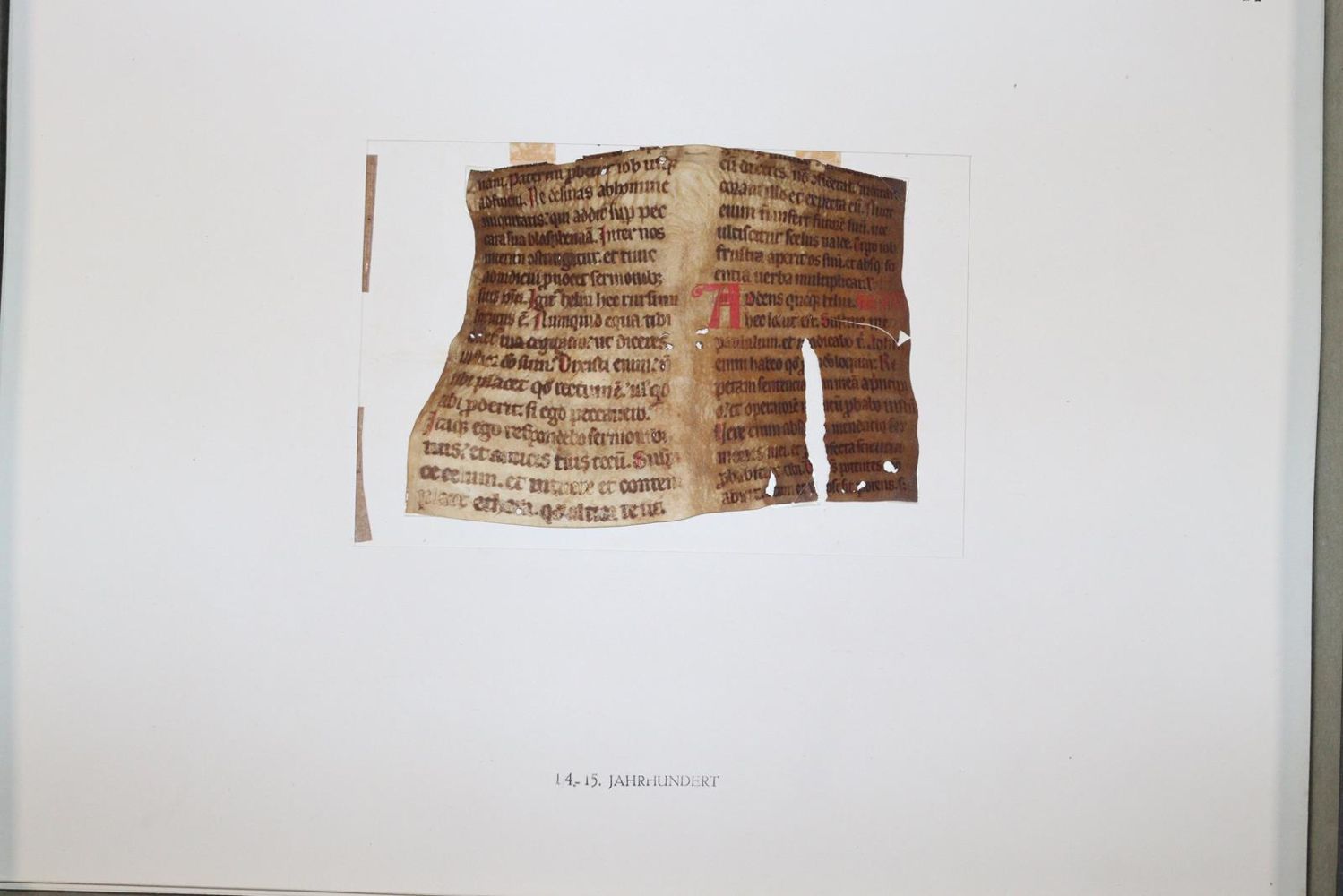Große Abbildung Nr.1037: 145-122 Handschrift zum Buch, Von der: (Handschriften)