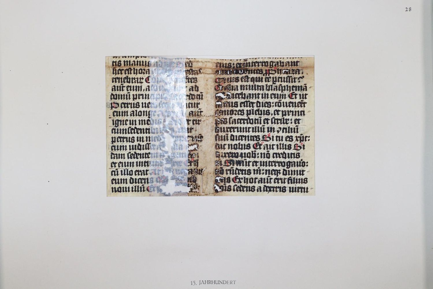 Große Abbildung Nr.1047: 145-122 Handschrift zum Buch, Von der: (Handschriften)