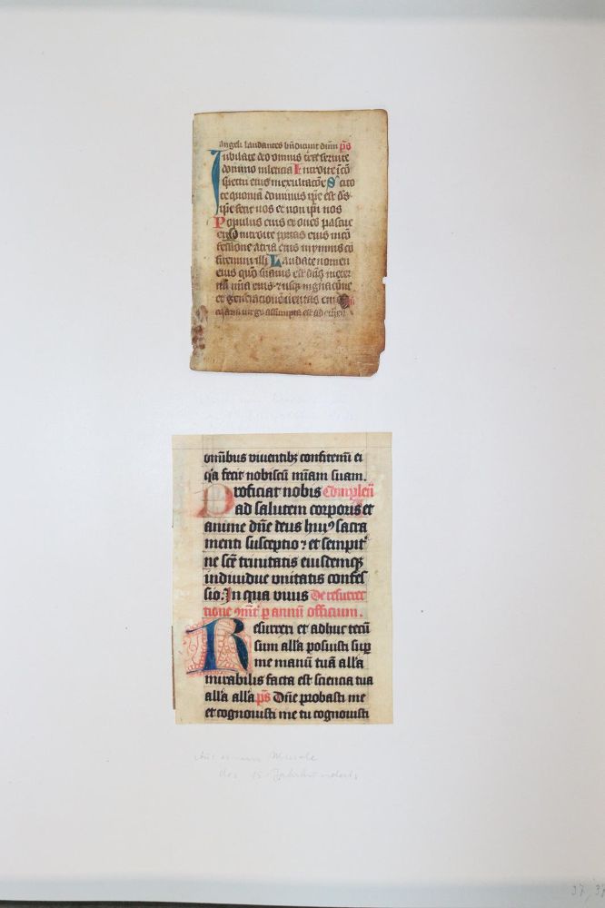 Große Abbildung Nr.1053: 145-122 Handschrift zum Buch, Von der: (Handschriften)