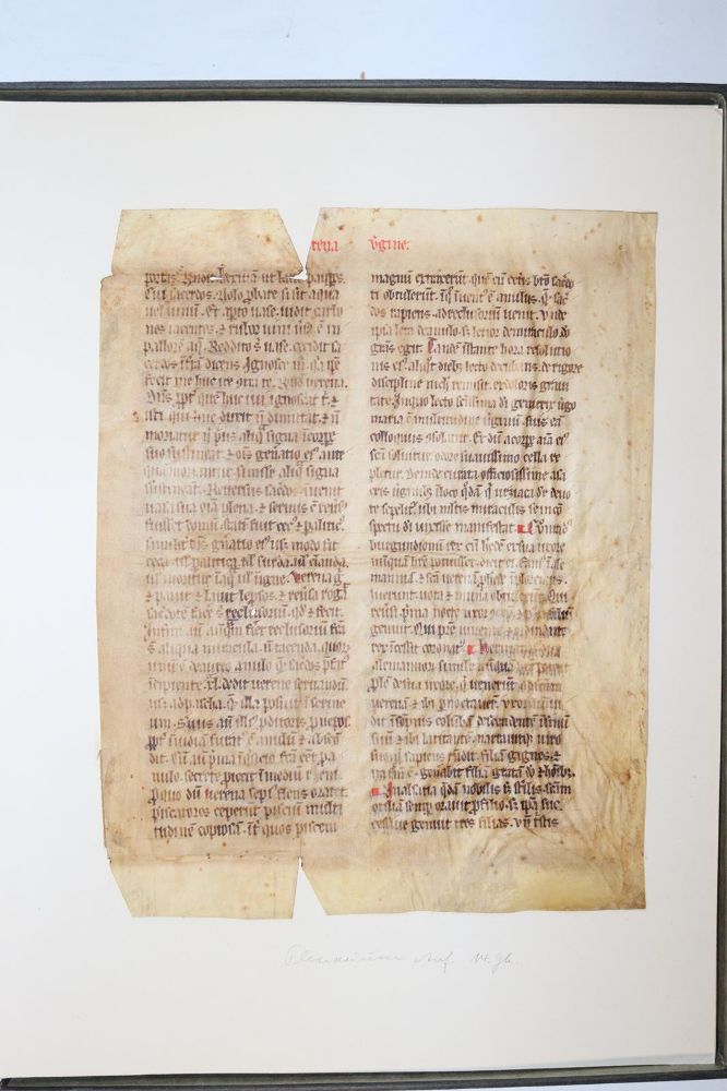 Große Abbildung Nr.107: 145-122 Handschrift zum Buch, Von der: (Handschriften)