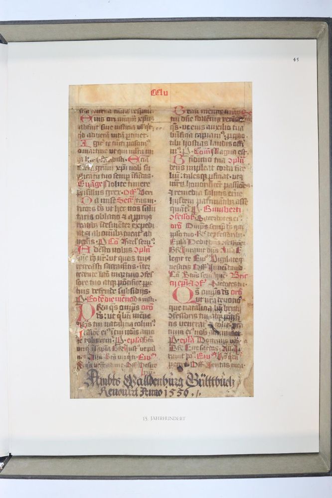 Große Abbildung Nr.1080: 145-122 Handschrift zum Buch, Von der: (Handschriften)