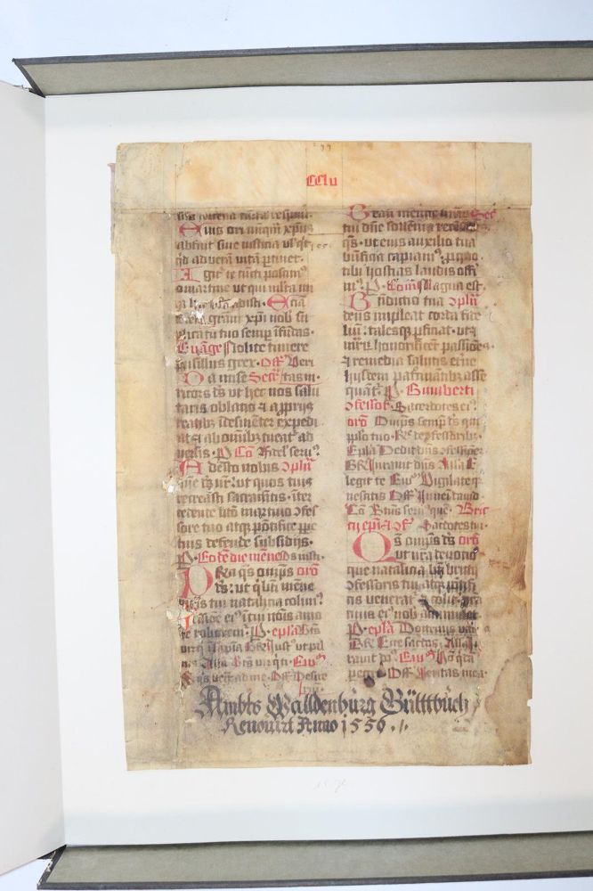 Große Abbildung Nr.1081: 145-122 Handschrift zum Buch, Von der: (Handschriften)