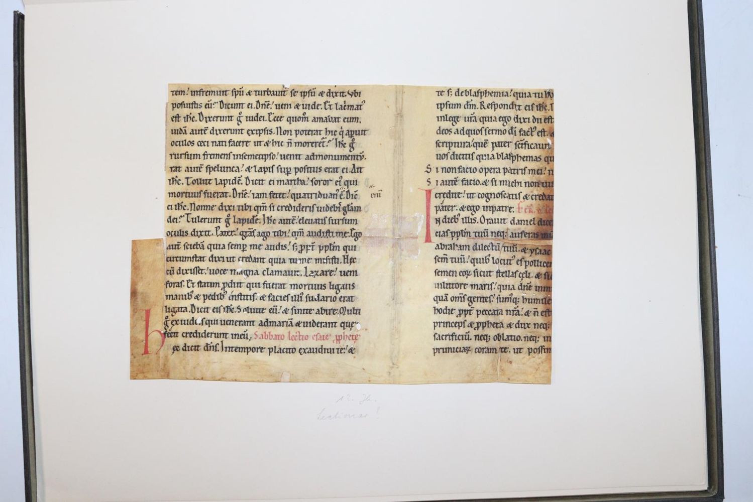 Große Abbildung Nr.109: 145-122 Handschrift zum Buch, Von der: (Handschriften)