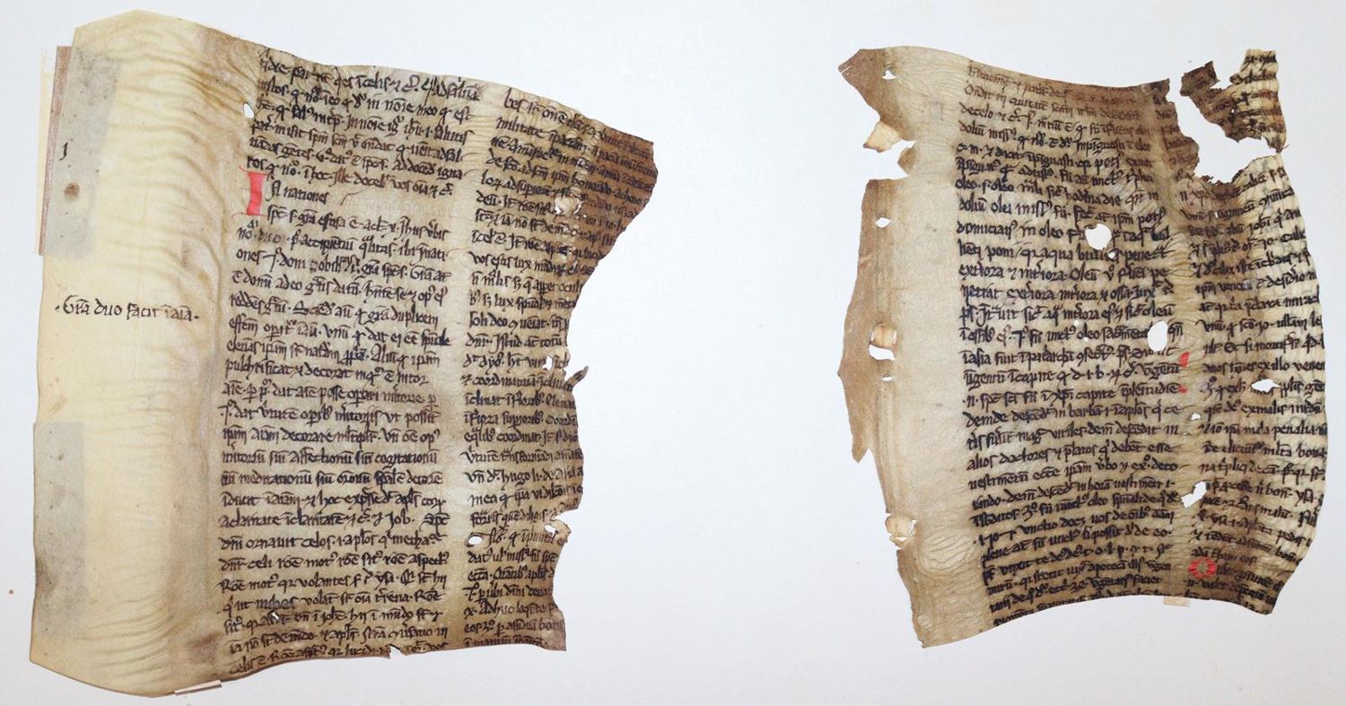Große Abbildung Nr.7: 145-122 Handschrift zum Buch, Von der: (Handschriften)