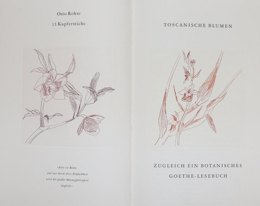 Große Abbildung Nr.1: 145-1344 Rohse,O.: (Literatur und illustrierte Bücher 20.Jahrhundert - Alte Literatur in modernen Ausgaben)