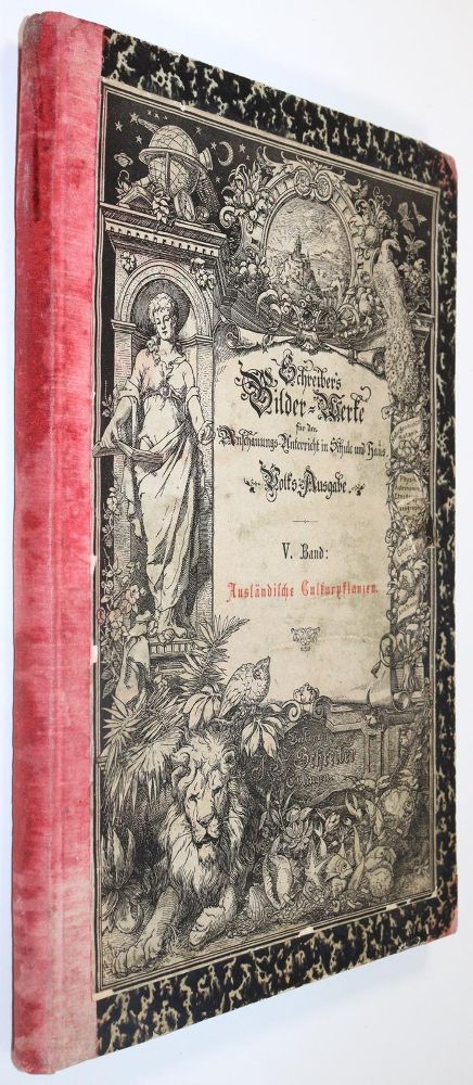 Große Abbildung Nr.6: 145-1397 Ahles,(W.E.v.).: (Botanik)