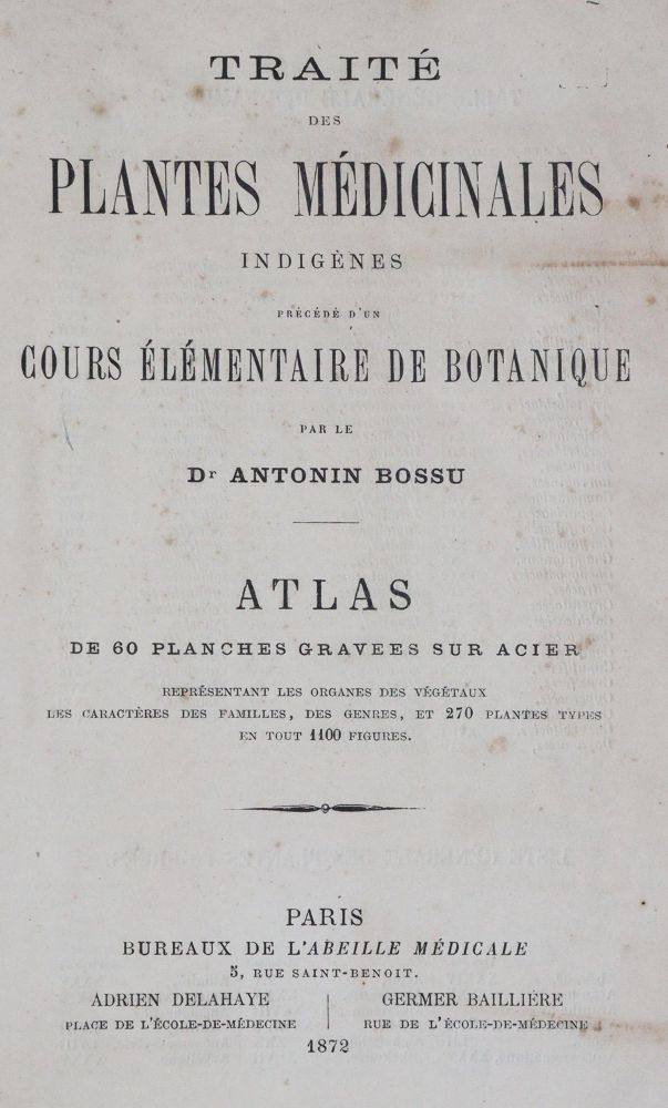 Große Abbildung Nr.3: 145-1400 Bossu,A. ': (Botanik)