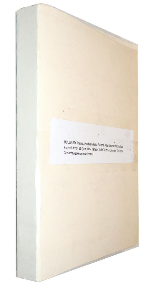 Große Abbildung Nr.2: 145-1401 (Bulliard,P.: (Botanik)