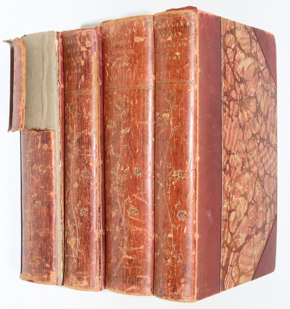 Große Abbildung Nr.5: 145-1405 Hulme,F.E. u. S.Hibberd.: (Botanik)