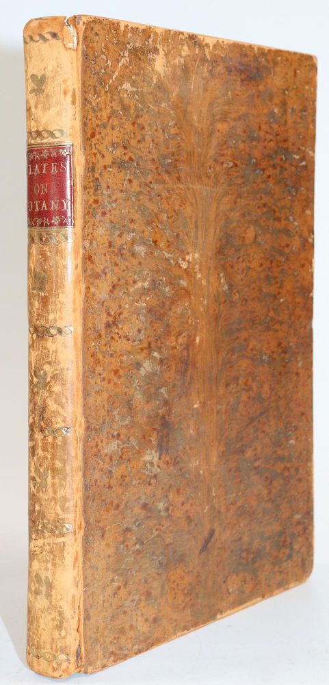 Große Abbildung Nr.5: 145-1409 Martyn,T.: (Botanik)