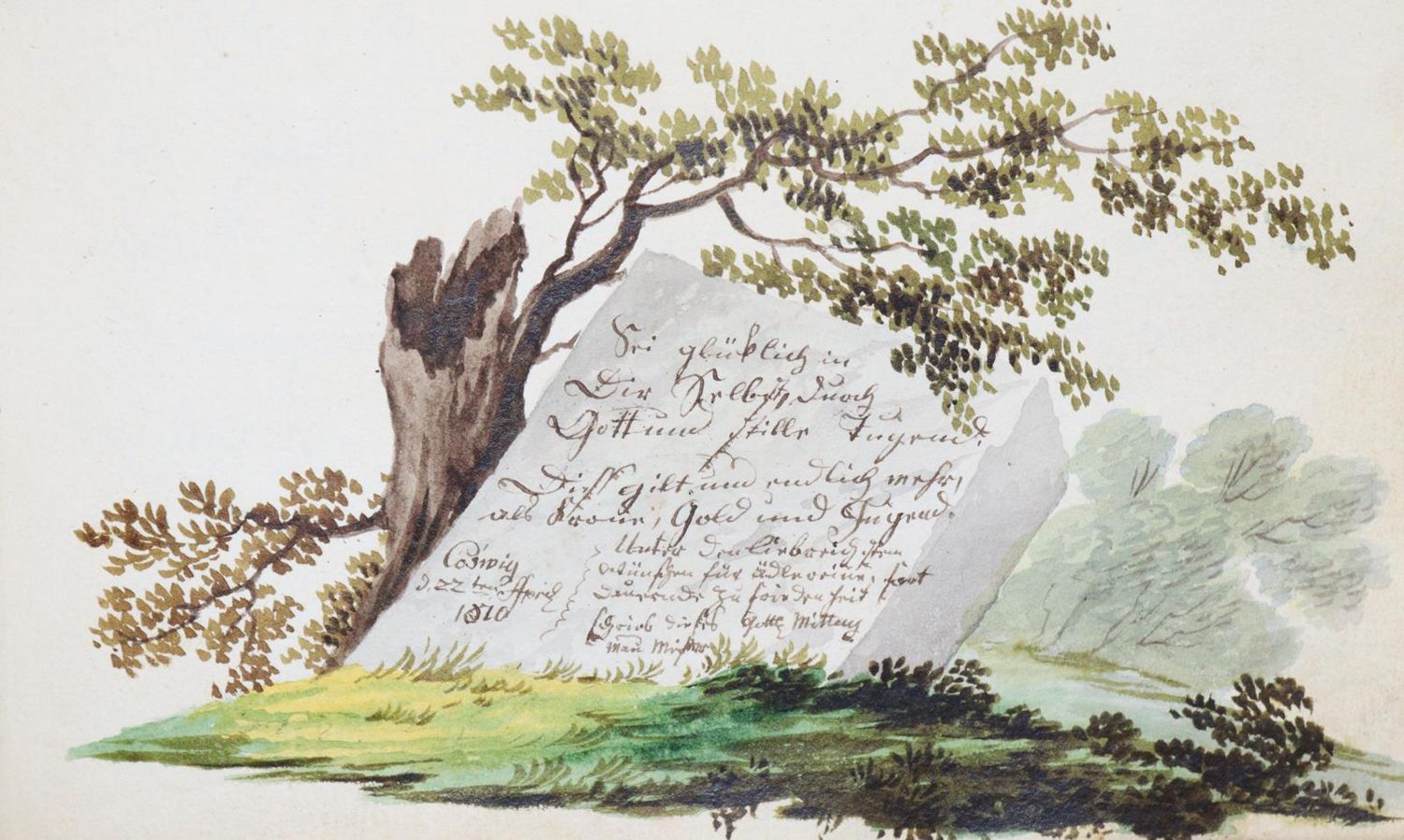 Große Abbildung Nr.3147: 145-141 Stammbücher.: (Handschriften)