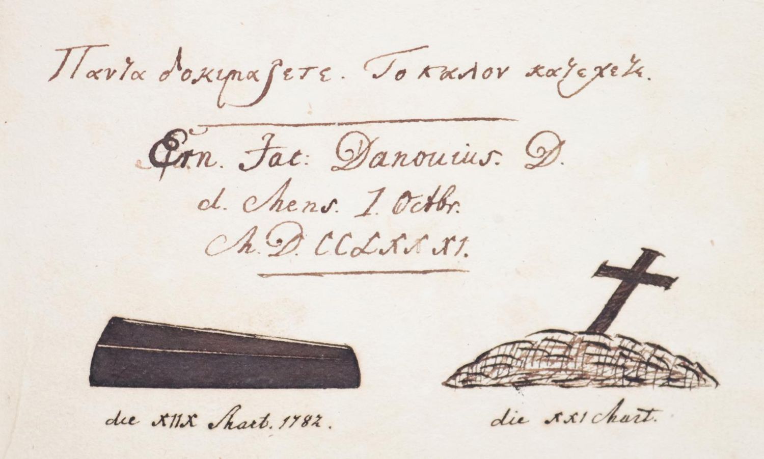 Große Abbildung Nr.6: 145-141 Stammbücher.: (Handschriften)