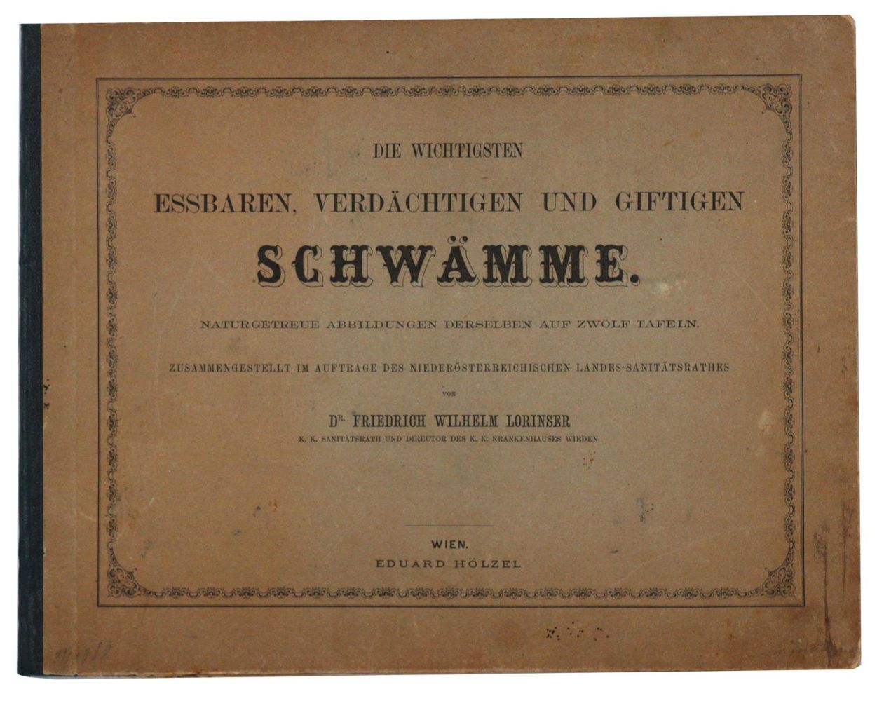 Große Abbildung Nr.2: 145-1411 Lorinser,F.W.: (Botanik, Pilze)