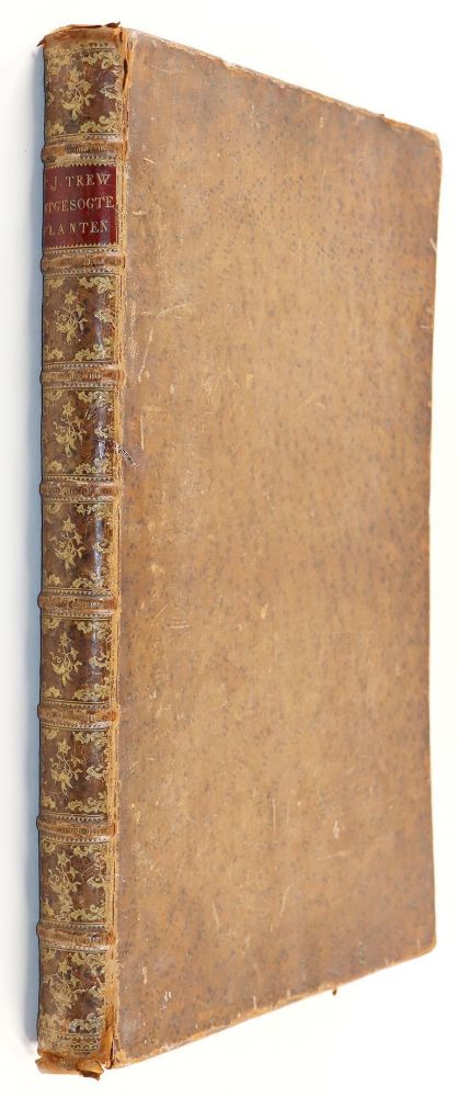 Große Abbildung Nr.11: 145-1419 Trew,Ch.J.: (Botanik)