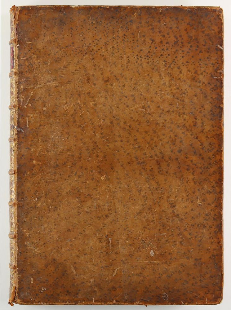 Große Abbildung Nr.12: 145-1419 Trew,Ch.J.: (Botanik)