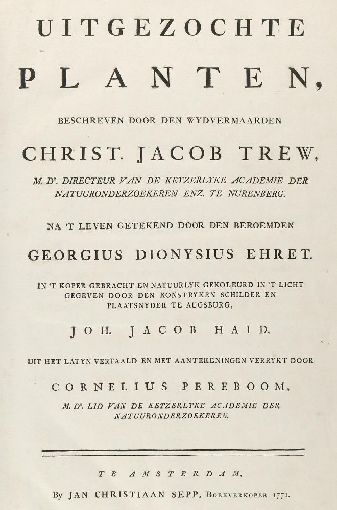 Große Abbildung Nr.13: 145-1419 Trew,Ch.J.: (Botanik)