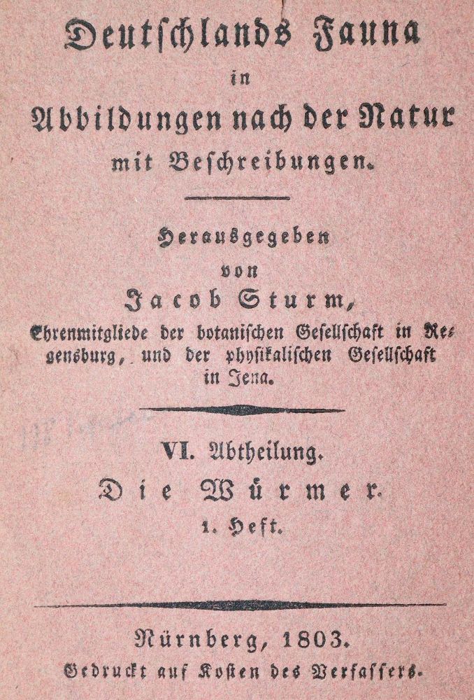 Sturm, J. – Germany's Fauna in Illustrations from Nature with Descriptions