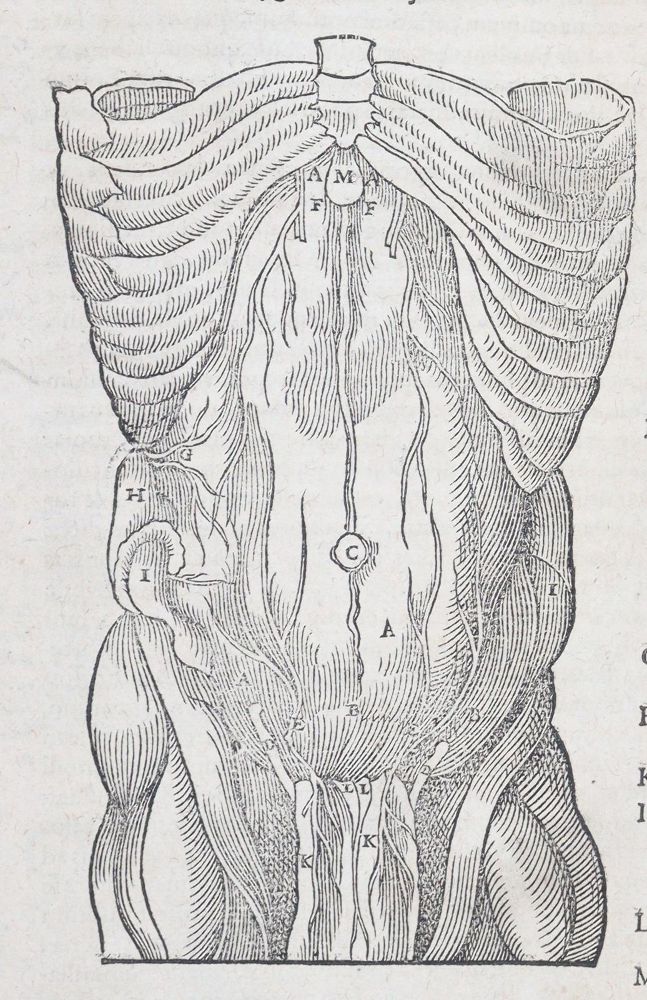 Große Abbildung Nr.4: 145-1431 Uffenbach,P.: (Medizin, Chirurgie)