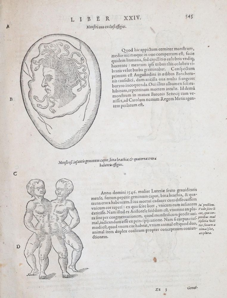 Große Abbildung Nr.8: 145-1431 Uffenbach,P.: (Medizin, Chirurgie)