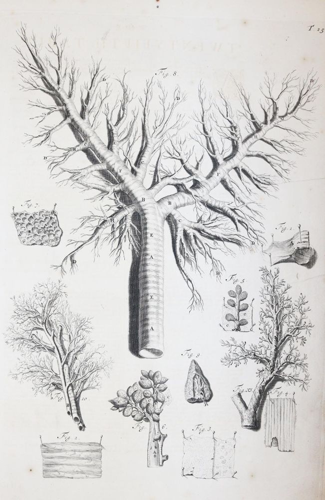 Große Abbildung Nr.10: 145-1434 Cowper,W.: (Medizin)