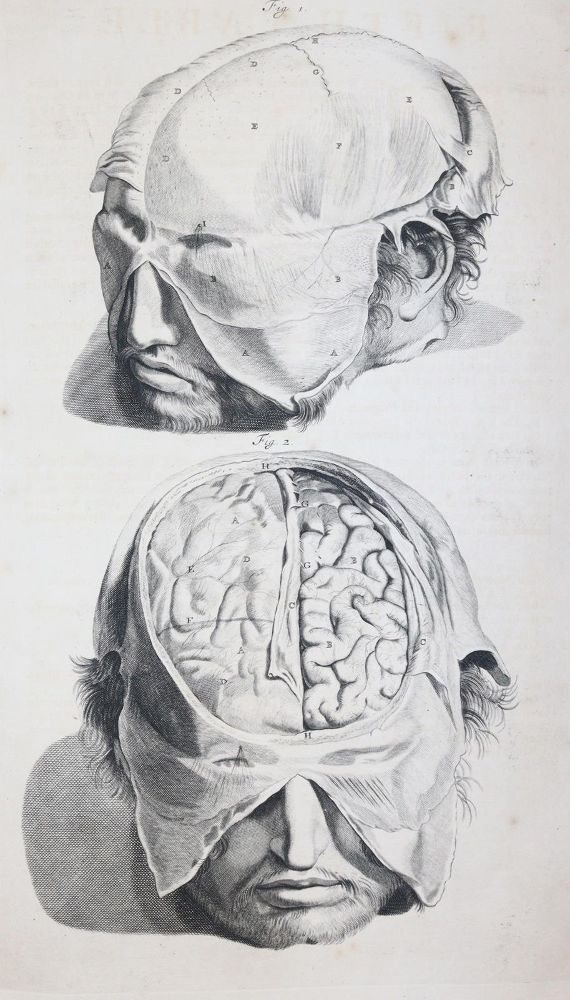 Große Abbildung Nr.5: 145-1434 Cowper,W.: (Medizin)