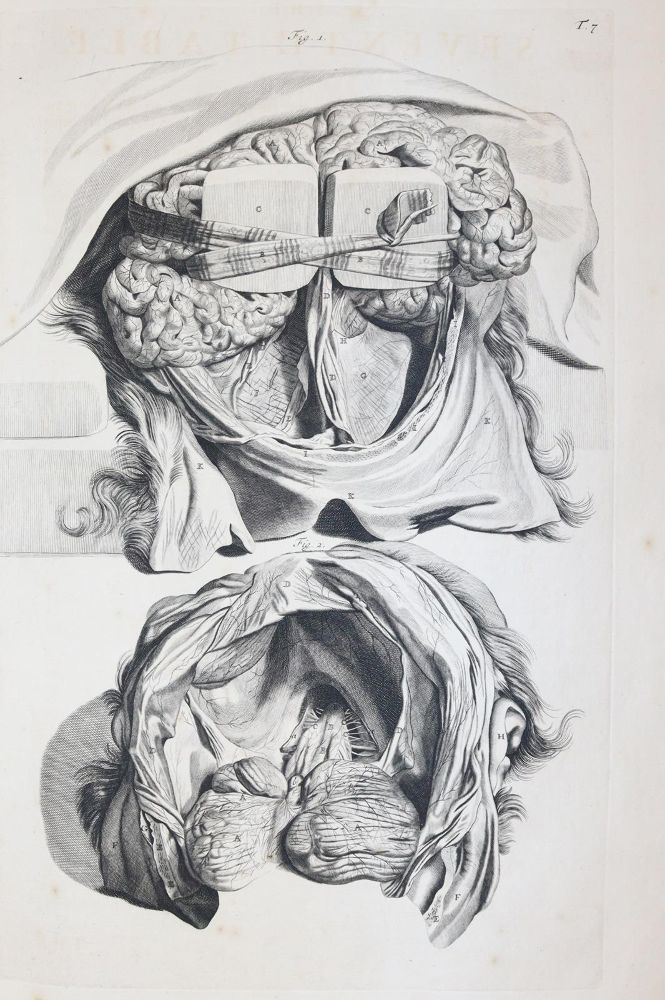 Große Abbildung Nr.6: 145-1434 Cowper,W.: (Medizin)