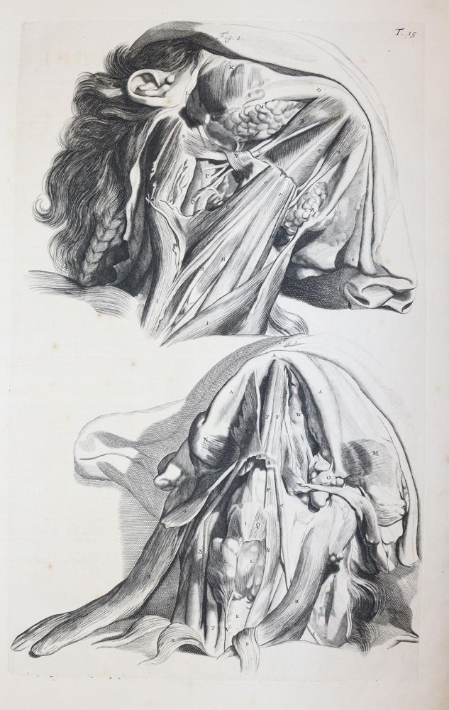 Große Abbildung Nr.8: 145-1434 Cowper,W.: (Medizin)