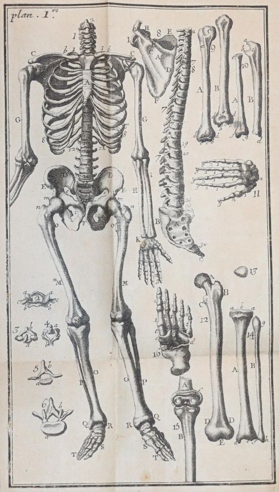 Große Abbildung Nr.2: 145-1471 Noguez,(P.N.).: (Medizin)