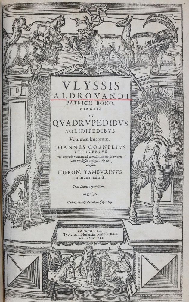 Große Abbildung Nr.5: 145-1492 Aldrovandi,U.: (Zoologie)