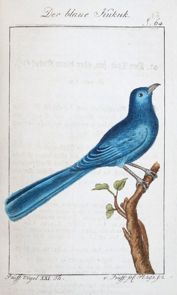 Große Abbildung Nr.3: 145-1497 Buffon,G.L.L.: (Zoologie)