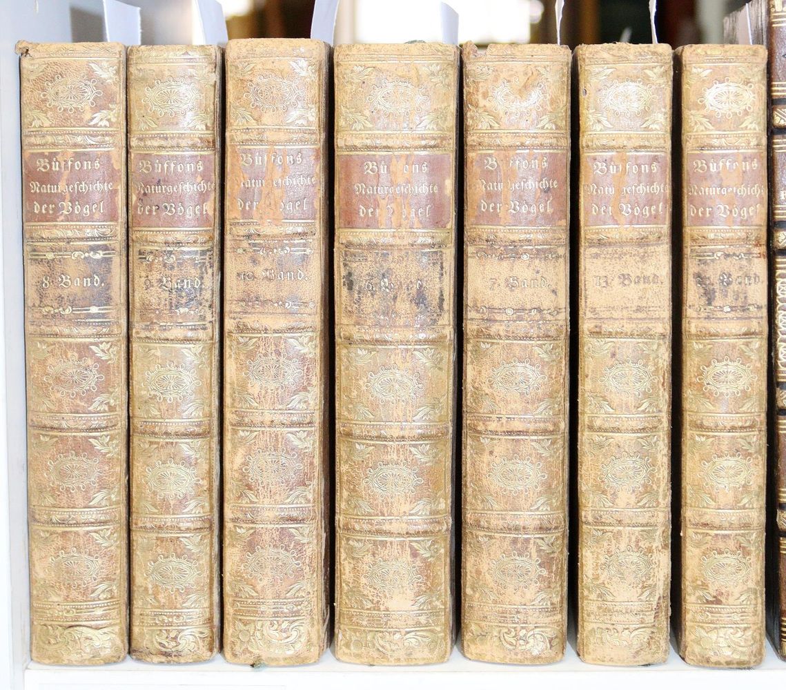 Große Abbildung Nr.7: 145-1497 Buffon,G.L.L.: (Zoologie)