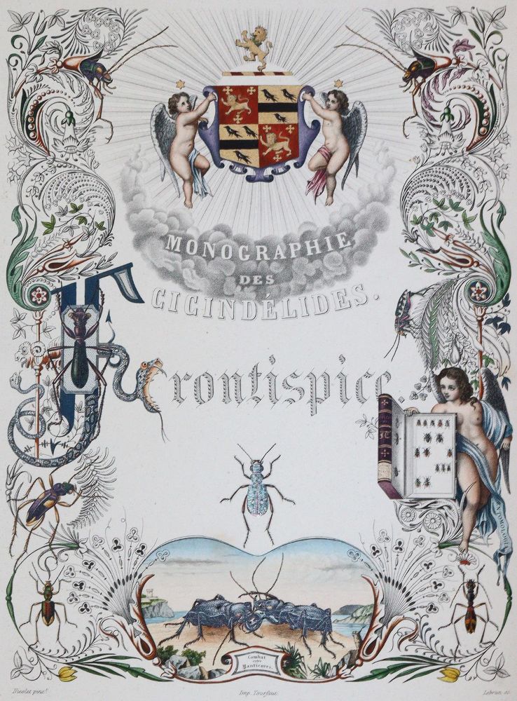 Thomson,J. – Monographie des Cicindlides ou expos mthodique et critique des tribus, genres et espces de cette famille