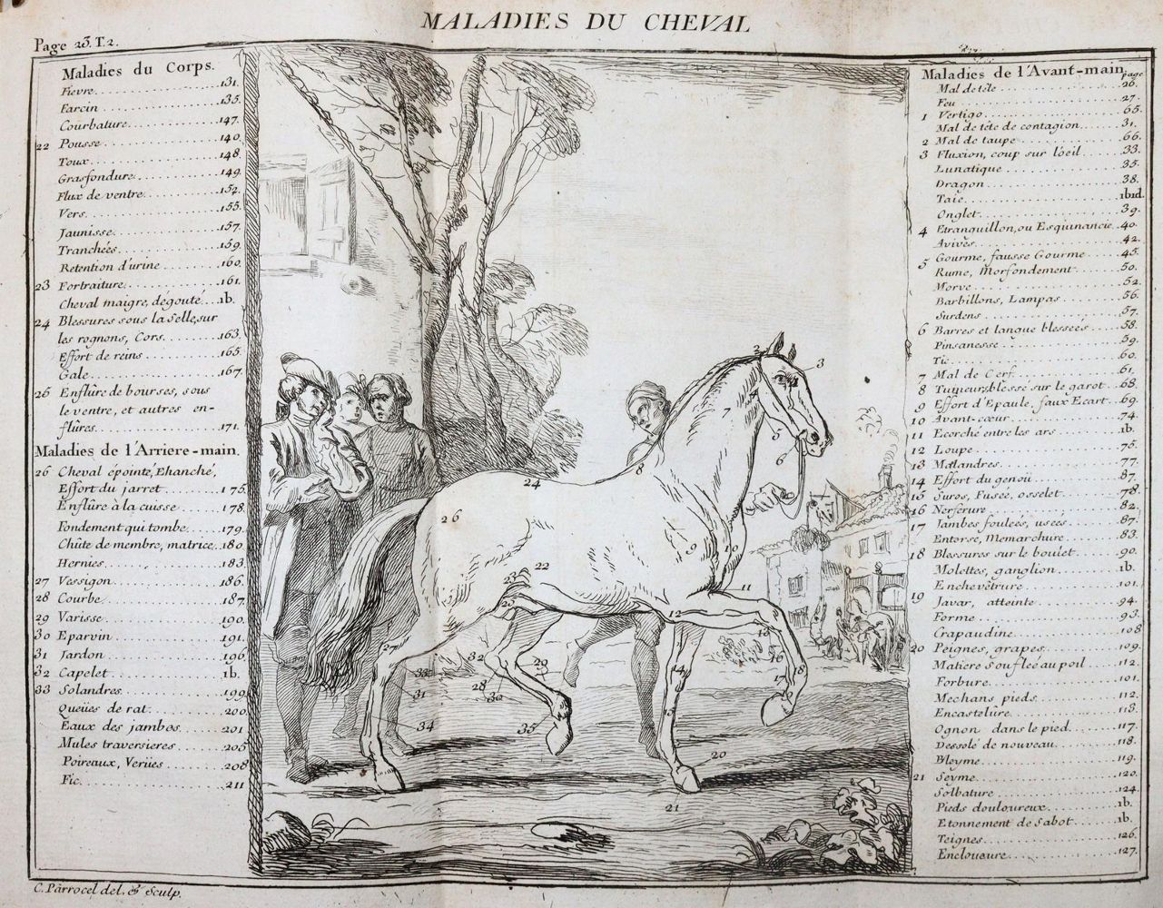 Große Abbildung Nr.2: 145-1505 Gueriniere,(F.R.)de la.: (Zoologie, Pferde)