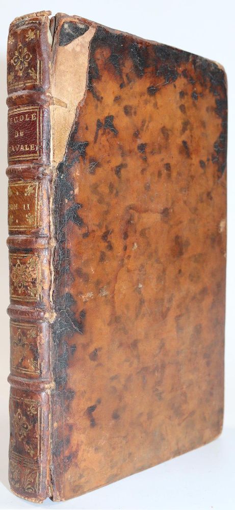 Große Abbildung Nr.4: 145-1505 Gueriniere,(F.R.)de la.: (Zoologie, Pferde)
