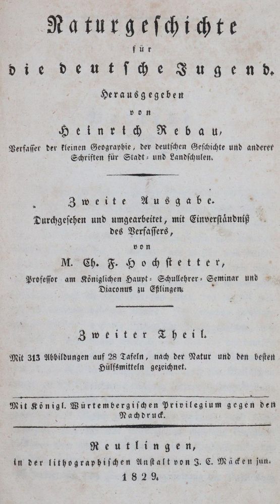 Große Abbildung Nr.8: 145-1506 Rebau,H. (d.i. C.A.Gebauer).: (Zoologie)