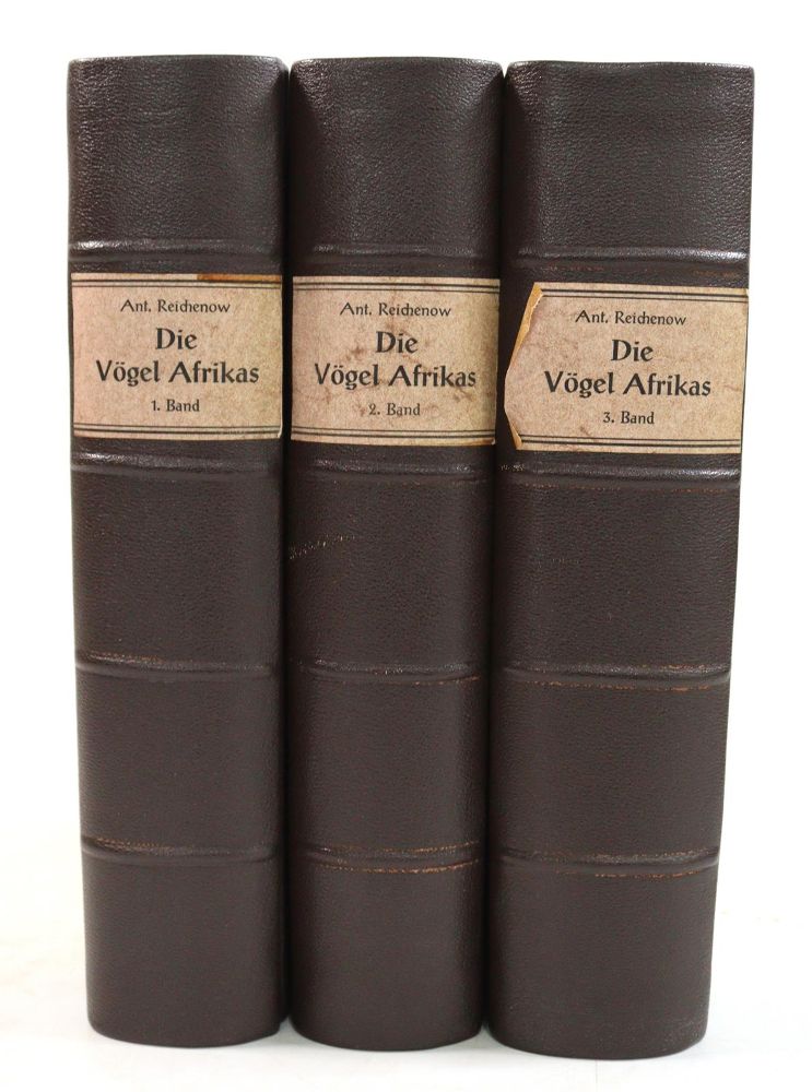 Große Abbildung Nr.3: 145-1514 Reichenow,A.: (Zoologie, Vögel)