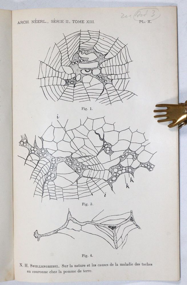 Große Abbildung Nr.3: 145-1599 Sammlung: (Verschiedene Gebiete - Varia, Physik)